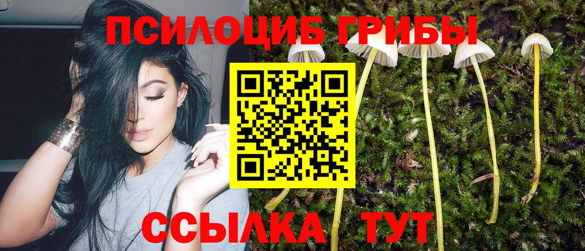 Тула  Псилоцибиновые грибы Psilocybine cubensis  наркотики  Вход с VPN 