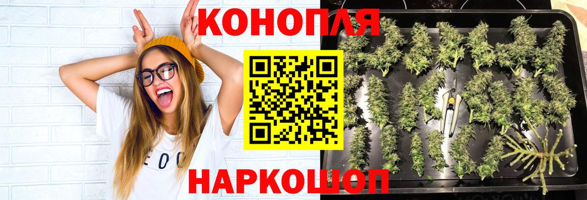 Конопля гибрид Тула